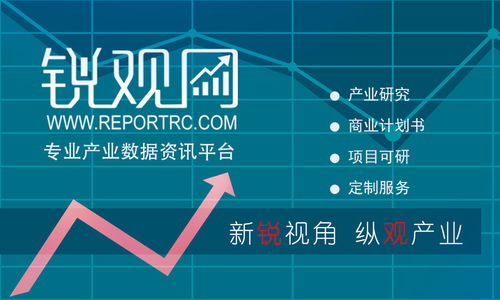 2023-2028年中国平板电脑市场发展预测及投资策略分析报告